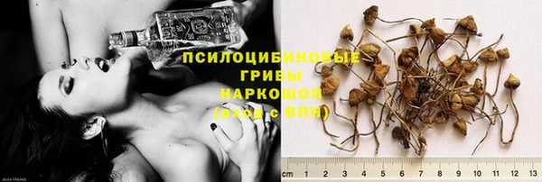 spice Арсеньев