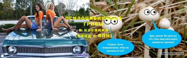 spice Арсеньев