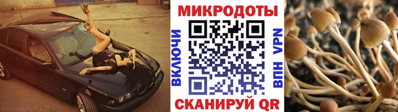 даркнет наркотические препараты  Мамоново  Галлюциногенные грибы GOLDEN TEACHER 